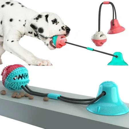 Bola de Brinquedo Interativa Molar