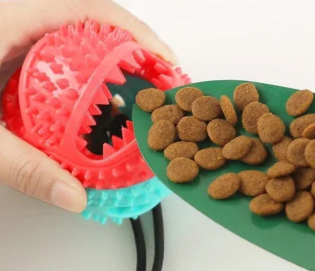 Bola de Brinquedo Interativa Molar