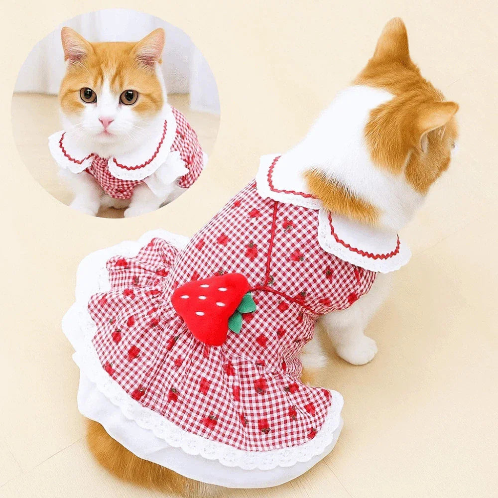 Vestido De Morango Para Pet