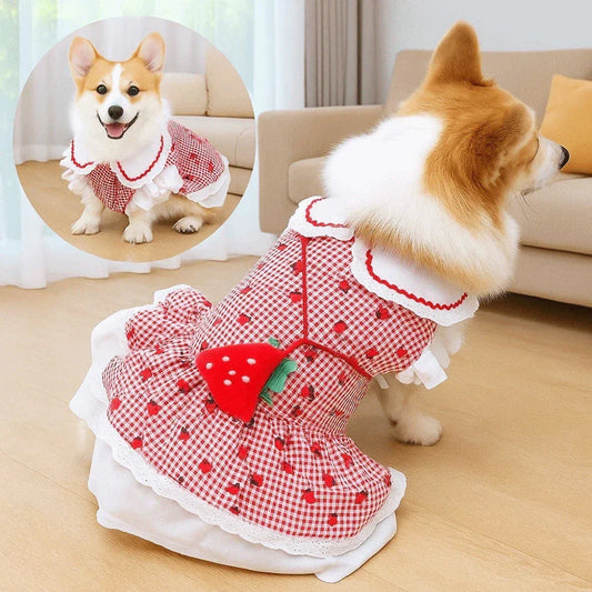 Vestido De Morango Para Pet