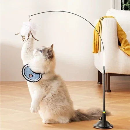 Teaser De Gato