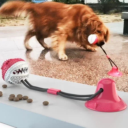 Bola de Brinquedo Interativa Molar